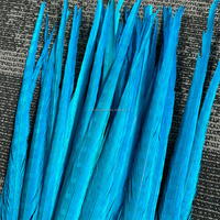 50-55 cm 20-22 pouces teint Ringneck plumes de faisan pour carnaval Costume danse coiffure accessoire Festival décoration
