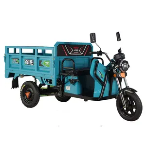 Made In China Electric Auto Rickshaw Farmer Electric Tricycle Rickshaw Light Cargo Auto Rickshaw Electric Cargo Loader