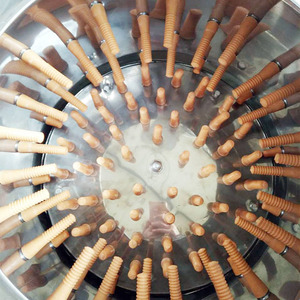Machine à épiler les plumes de volaille, machine à déplumer les poulets et les cailles, équipement essentiel pour l'abattage - Product Image 5