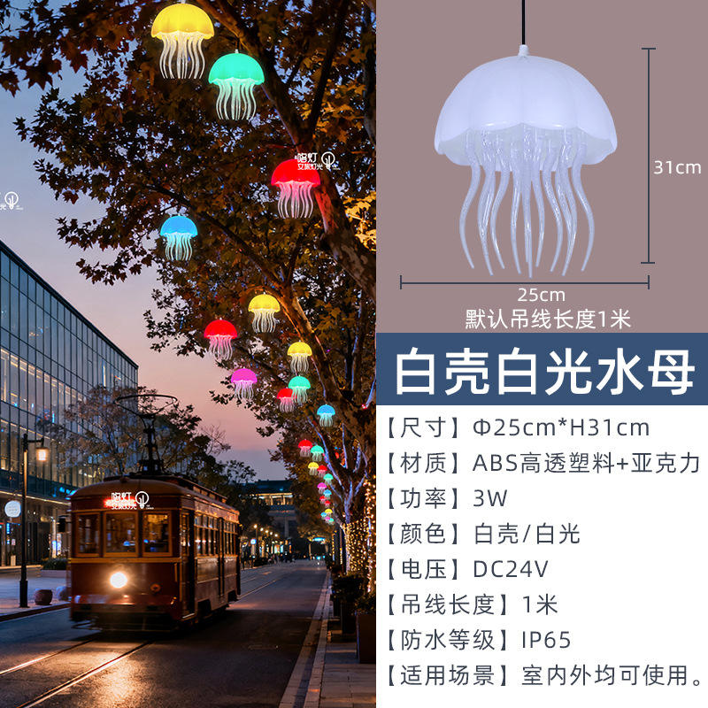 เปลือกสีขาว เส้นผ่านศูนย์กลาง 25 ซม. * ความสูง 31 ซม.