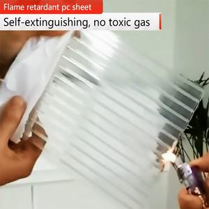 Facile à Installer Meilleure Épaisseur 8mm Écologique Moderne Twinwall Feuilles Polycarbonate Matériau pour Carport et Hôtel Utilisation Extérieure - Product Image 6