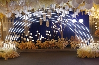 BJ230241 Support de fond lumineux LED pour scène de mariage au design unique, décoration d'événement, arche en métal fer forgé, décoration de fond lumineux