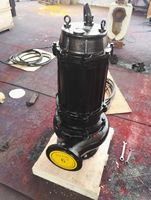 Moteur électrique de pompe centrifuge submersible de 3 pouces, 10hp wq de haute qualité, 4 pièces
