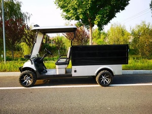 2025 New Design Wholesale Parison 2 Seats 4 Wheel Golf <b>Cart</b> Hunting Steel 48V 2025SDZX12PTPR158 4wheel <b>Tool</b> Golf <b>Cart</b> - Product Image 3