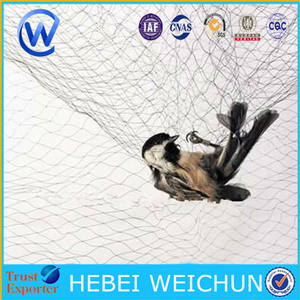 Red para la captura de aves redes de niebla/2 M * 30 m a Arabia Saudita/Rede párr captura de passaros - Product Image 4