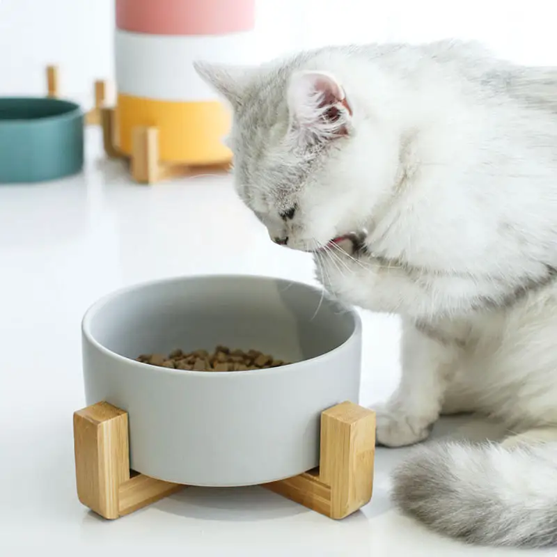 Produsen Grosir Aneka Warna Bingkai Kayu Keramik Mangkuk Kucing Anjing Peliharaan