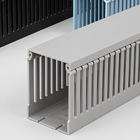 Goulotte de câblage PVC industrielle grise à dents fines 40x20mm, à fentes petites et denses pour un routage de précision des câbles dans les panneaux
