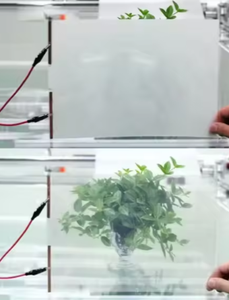 पीडीएलसी बिल्डिंग विंडो फिल्म-गोपनीयता निर्माण फिल्म - Product Image 2