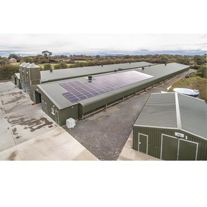 Poulailler de ferme à cadre en acier haute résistance avec système de litière profonde conçu pour les fermes de poulets de viande jusqu'à 10,000 oiseaux - Product Image 3