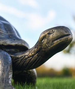 Đúc rắn rùa vườn điêu khắc trang trại hiện đại trang trí thủ công rùa tượng tổ chức sự kiện nguồn cung cấp trang trí vườn trang trí đối tượng - Product Image 4