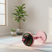 Plaques de poids colorées Lingxi de 5 cm de diamètre avec poignées pour la musculation à domicile, la perte de graisse et le renforcement musculaire