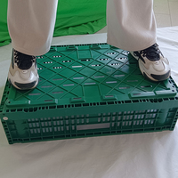 Vente en gros d'usine Caisses empilables en plastique pour aliments frais Panier nid en maille Stockage personnalisé de fruits et légumes en plastique