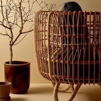 Ensemble de mobilier d'extérieur en rotin, patio, jardin, canapé en rotin, canapé en fer imperméable
