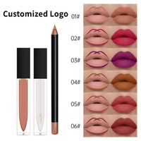 Kit de Rouge à Lèvres et Crayon à Lèvres 3-en-1 Mat Imperméable, Végétalien, 6 Couleurs, Haute Qualité, Logo Personnalisé, Faible MOQ, Vente en Gros