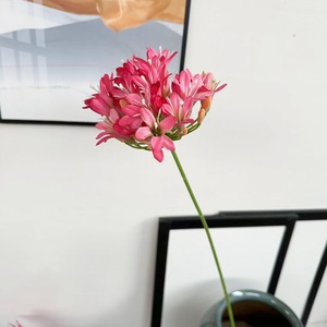 Nueva llegada delicado artificial Agapanthus <span class=keywords><strong>Africanus</strong></span> seda lirio africano hecho a mano flores realistas para la decoración de la boda - Product Image 3