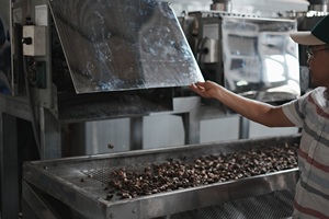 Línea de Descascarillado de Anacardos Tipo 1, Cabezal de Corte de 3 Cuchillas, Capacidad 70-100 kg/h, Totalmente Automática, Alta Calidad - Product Image 4