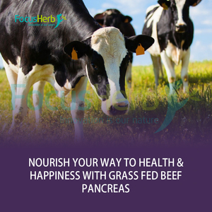 FocusHerb Compléments Nutritionnels OEM Vente en Gros Capsules de Rate de Bœuf Nourri à l'Herbe de Haute Qualité - Product Image 3