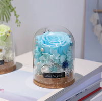 Offre Spéciale : Rose Éternelle Préservée sous Cloche en Verre – Boîte Cadeau – Vente en Gros Direct Usine Chine – Idéal Remise de Diplôme, Noël, Saint-Valentin – Longue Durée