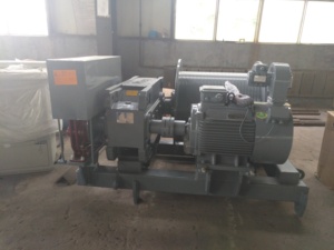 Cẩu tháp <span class=keywords><strong>LVF</strong></span> hoist cơ chế với biến tần - Product Image 4