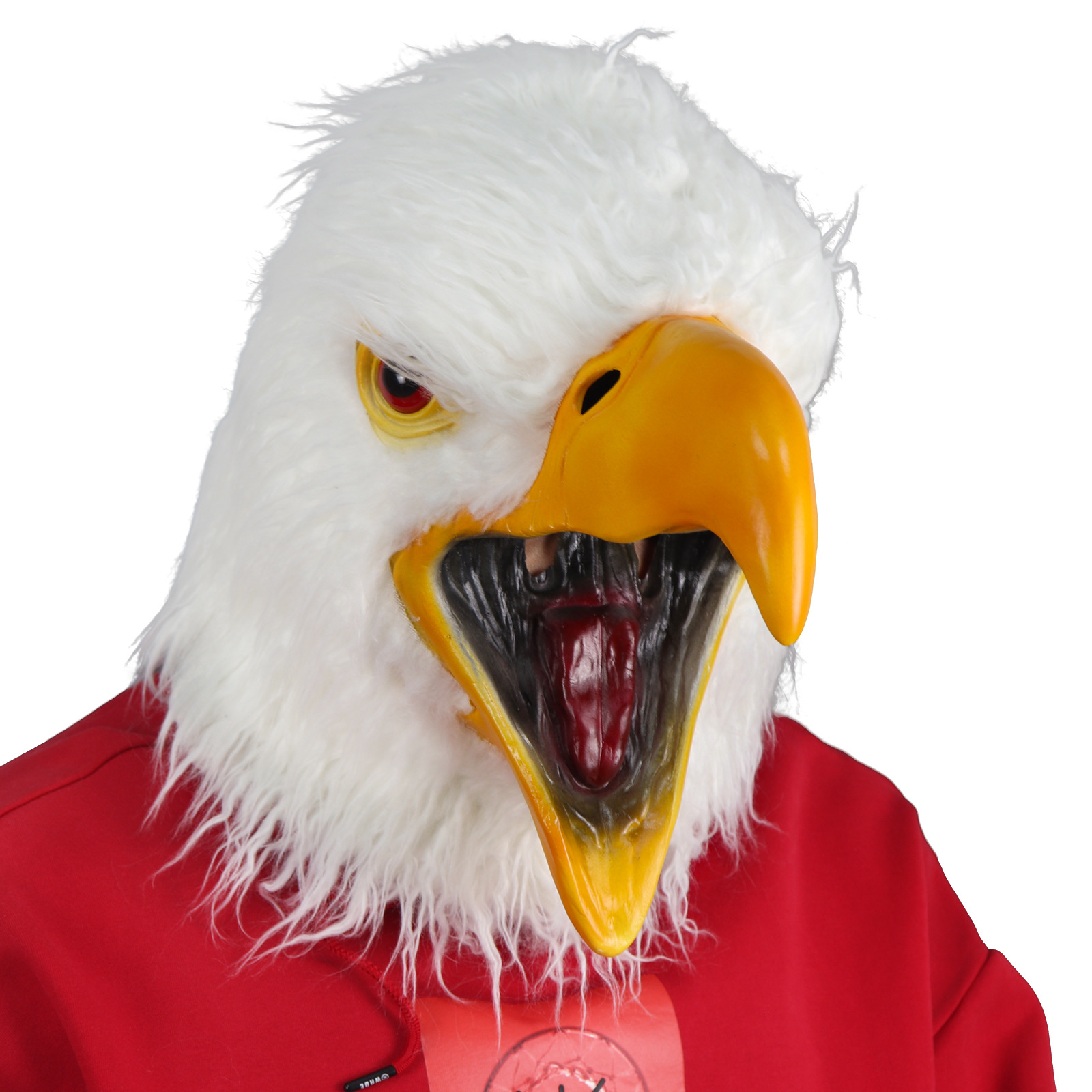 Aquila con la bocca aperta