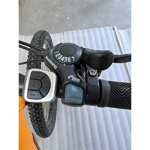 <span class=keywords><strong>Vélo</strong></span> <span class=keywords><strong>électrique</strong></span> E-Bike 48V, <span class=keywords><strong>couple</strong></span> de 30-<span class=keywords><strong>50</strong></span> <span class=keywords><strong>Nm</strong></span>, vitesse maximale <30 km/h, capacité de la batterie 13A avec performances stables - Product Image 4