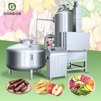 Mini 12 Ltr Vacuüm Frituren Chip Automatische Industriële Gas Jackfruit Friteuse Friteuse Machine Voor Fruit Knapperig En Groenten