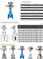 Válvula de Compuerta Eléctrica Z941X con Asiento Resiliente OS&Y DN50-DN600 PN10 PN16 de Hierro Dúctil EPDM de Alta Presión y Resistente a la Corrosión