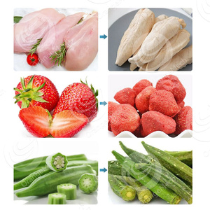 ORME Industrial Large Liofilizador De Carne Egg 45kg <span class=keywords><strong>Levure</strong></span> Stay Fresh Vide Food Freeze Dry Prix - Product Image 3
