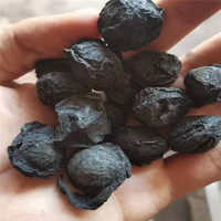 Chinese Wu Mei gedroogde pruimen, donkere pruimen, gerookte pruimen, zwarte pruimen