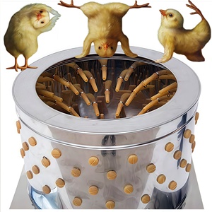 Machine à plumer les oiseaux industrielle économique avec fonction de lavage, motorisée, haute capacité 1000 oiseaux/heure, 110/220V - Product Image 4