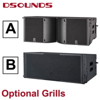 Haut-parleur Line Array professionnel DST-212B Double haut-parleur de scène de 12 pouces Haut-parleur Line Array extérieur
