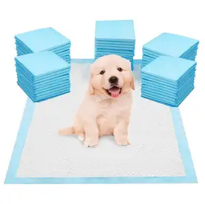 dog and puppies toilet paste type pet training pads xl urine pad