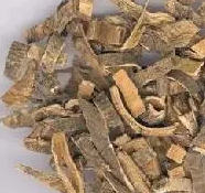 クィラハサポナリア樹皮エキス 天然クィラハサポナリアエキス粉末 - Product Image 3