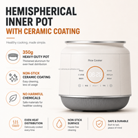 Nouveau produit 2026 : Mini cuiseur à riz 1L avec cuve intérieure en céramique, revêtement antiadhésif, forme hémisphérique, 400W, fonction maintien au chaud, tasse doseuse électrique et minuteur