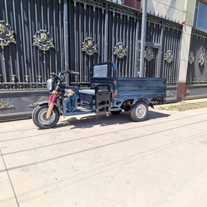Hot Sell Tricycle 800W Motor 400kg Payload Steel Frame <b>2</b> <b>Passengers</b> Long-distance Travel - Product Image 3