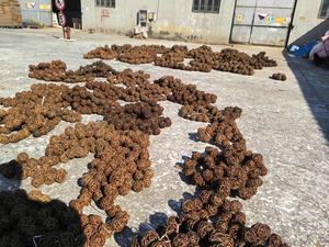 Küçük hayvan <span class=keywords><strong>pet</strong></span> çiğnemek oyuncak için doğa ilk söğüt havuç - Product Image 6