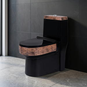 Offre Spéciale haute qualité noir décoratif en céramique une pièce placard à eau monobloc toilette Design de mode - Product Image 2