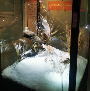 Polvere di Neve Artificiale Autoadesiva in Plastica <span class=keywords><strong>Bianca</strong></span> per Decorazioni Natalizie da Interno, Dimensioni Personalizzabili - Product Image 5