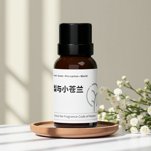 ProMfg-Difusores de recambio de aceite esencial de vidrio respetuosos con el medio ambiente, paquete a granel de fragancia de larga duración para hoteles y hogares en Guangdong - Product Image 1