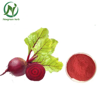 Bubuk Bit Merah Alami Berkualitas Tinggi Grosir Newgreen