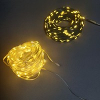 Guirlande lumineuse LED pour extérieur, étanche, 30M 50M 100M, câble vert, câble noir, câble transparent, avec télécommande