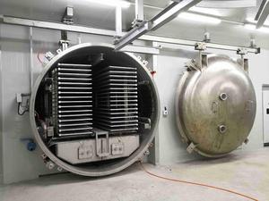 El liofilizador al vacío se utiliza para fresas y limones - Product Image 2