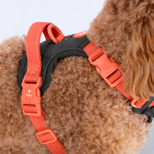 Arnés de Seguridad <span class=keywords><strong>para</strong></span> Perro, Diseño Lindo y Cálido, Tejido Jacquard, Conjunto con Babero, Chaleco <span class=keywords><strong>para</strong></span> Perro con Corbatín y Porta Bolsas <span class=keywords><strong>para</strong></span> Excrementos - Product Image 3