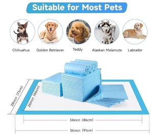 HengJia Manufacturer Sample Free Disposable Dog <b>Pee</b> Pads Pet Puppy Training <b>Pee</b> Pad for Dogs Cats - Product Image 1