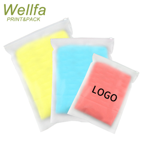 OEM Custom LOGO Printed Clear Frosted Plastic Ziplock Bag For Clothing With Logo Zipper