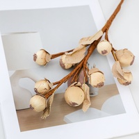 Grensoverschrijdende gedroogde Luo Han Guo takken, vruchten, harsambachten, gedroogde bloemen, huisdecoratie, bloemkunst, fotografie-accessoires, Scandinavisch