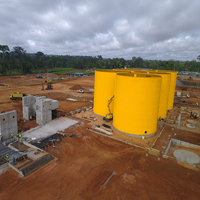 Usine de lixiviation de l'or à haute efficacité pour l'extraction de minerai d'or, ligne de production complète de lixiviation de l'or CIL à vendre