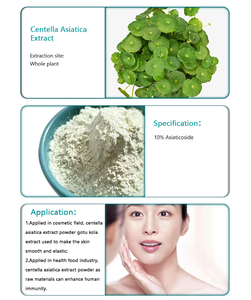 Abd/ab depo toplu Centella Extract ca özü tozu 5% 10% 90% Asiaticoside Gotu Kola ekstresi - Product Image 3