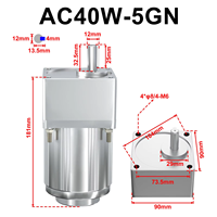 Moteur à induction monophasé LUNYEE 40W 9,3 tr/min 20 Nm 220 V CA avec boîte de vitesses en stock pour l'automatisation industrielle