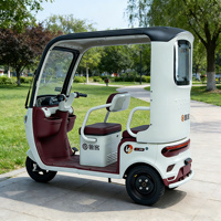 Mini Triciclo Eléctrico con Gran Autonomía, Protección Solar y Contra la Lluvia, para Compras y Multifuncional